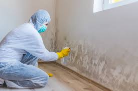 Best Mold Damage Restoration in Springville, IA