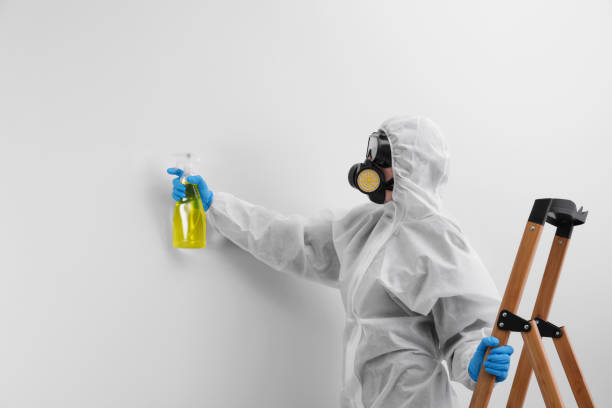 Best Forensic Mold Investigation in Springville, IA